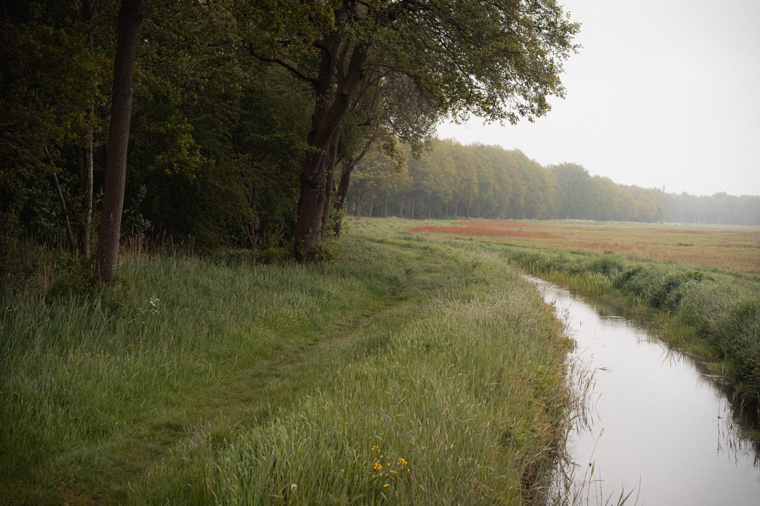 Drentsche Aa Trail